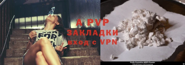 ПСИЛОЦИБИНОВЫЕ ГРИБЫ Ступино