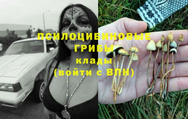 ПСИЛОЦИБИНОВЫЕ ГРИБЫ Ступино