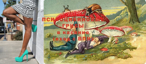 ПСИЛОЦИБИНОВЫЕ ГРИБЫ Ступино